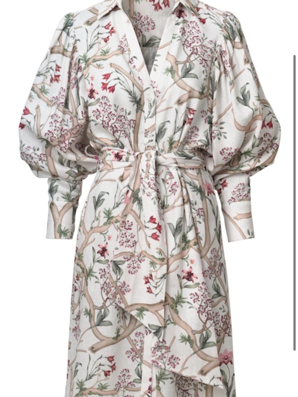 Johanna Ortiz & HM Floral Print Midi Dress in White, Pink, Green